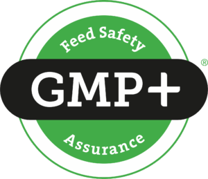 GMP Logo